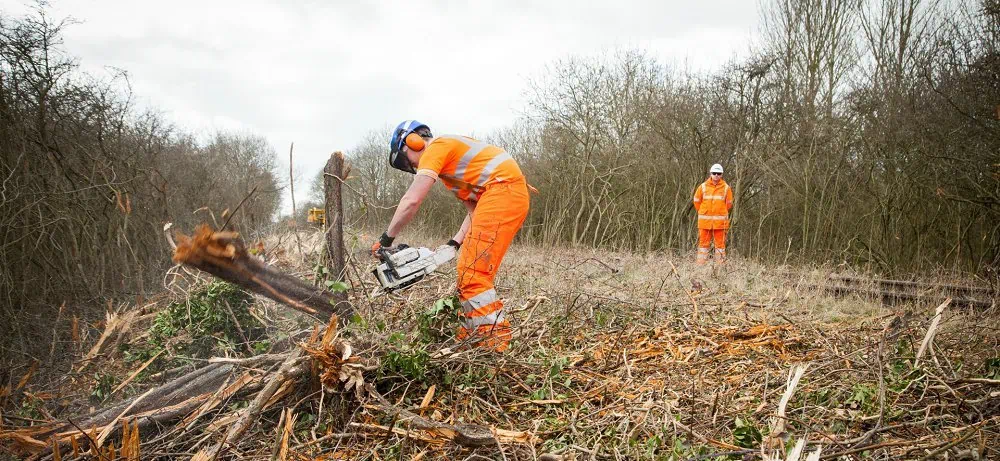 What's the Best Equipment for Clearing Land and Brush?