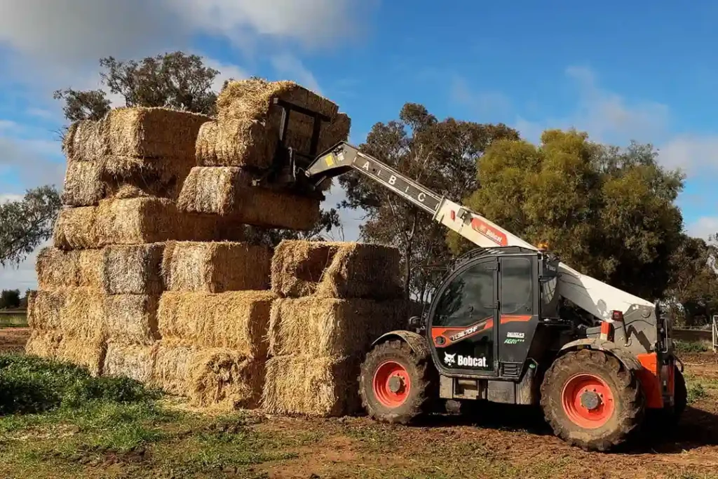 Buying a Telehandler for Your Business